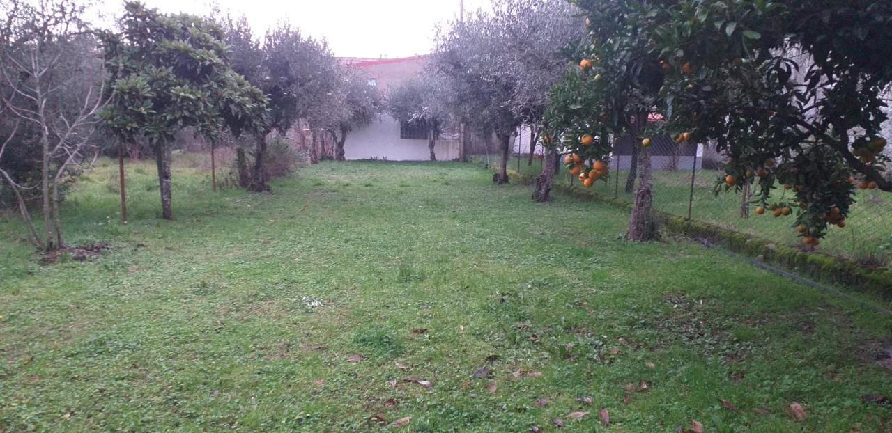 Casa Do Adro Villa Arcozelo  ภายนอก รูปภาพ